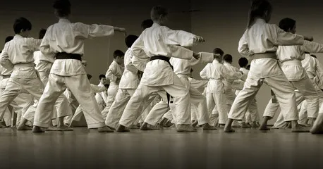 Martial arts students training in a traditional dojo, practicing discipline and technique under instructor guidance